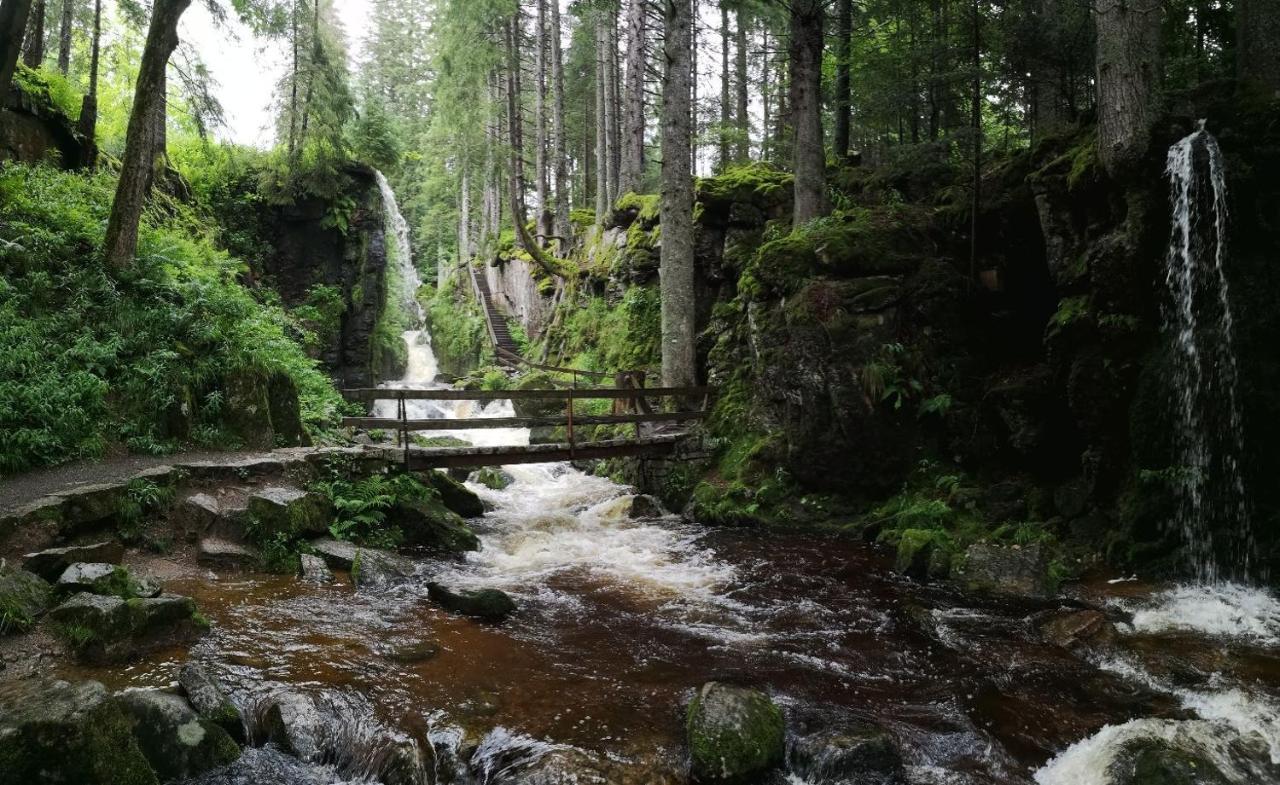 C3 Albmatte-Fewo Sauna, Hallenbad Aussenbecken Massagen Nebenan Санкт Блазиен Екстериор снимка