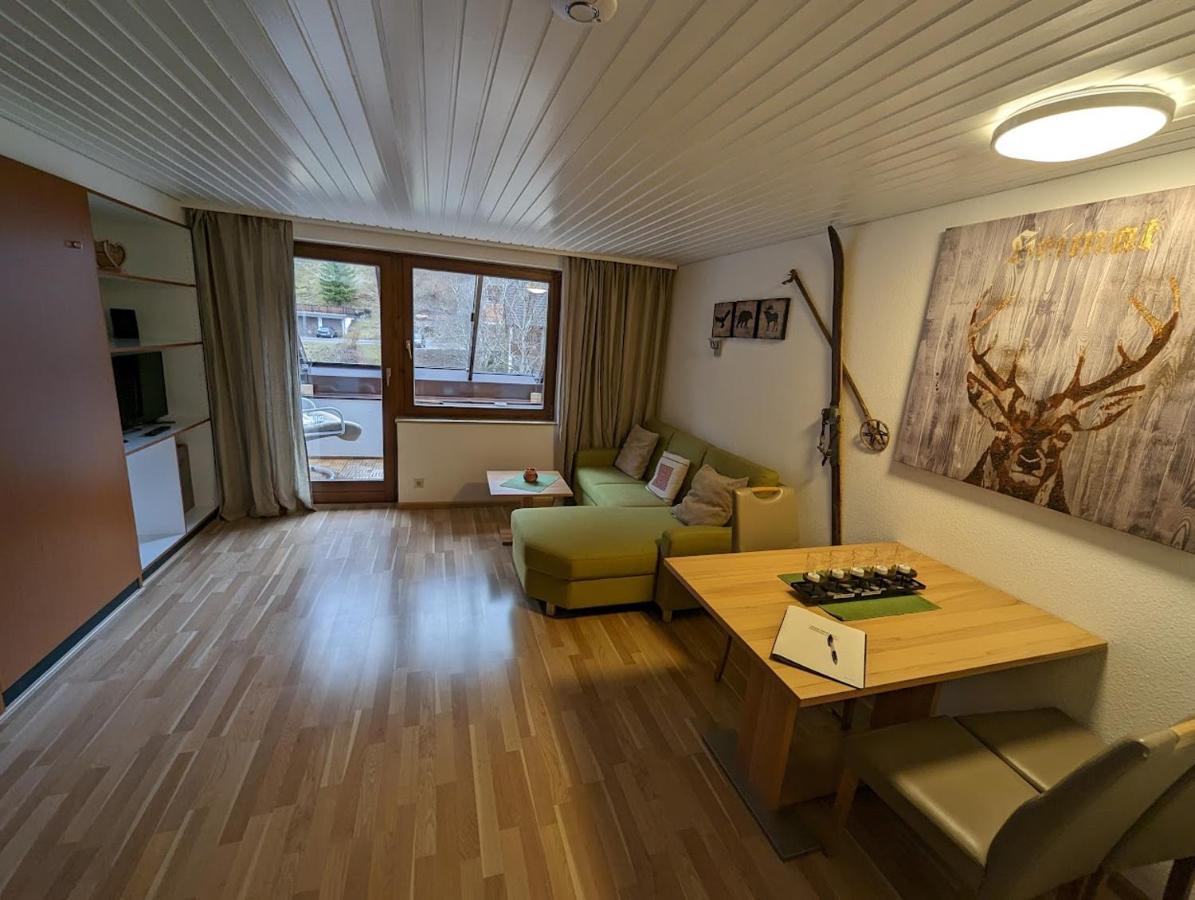 C3 Albmatte-Fewo Sauna, Hallenbad Aussenbecken Massagen Nebenan Санкт Блазиен Екстериор снимка