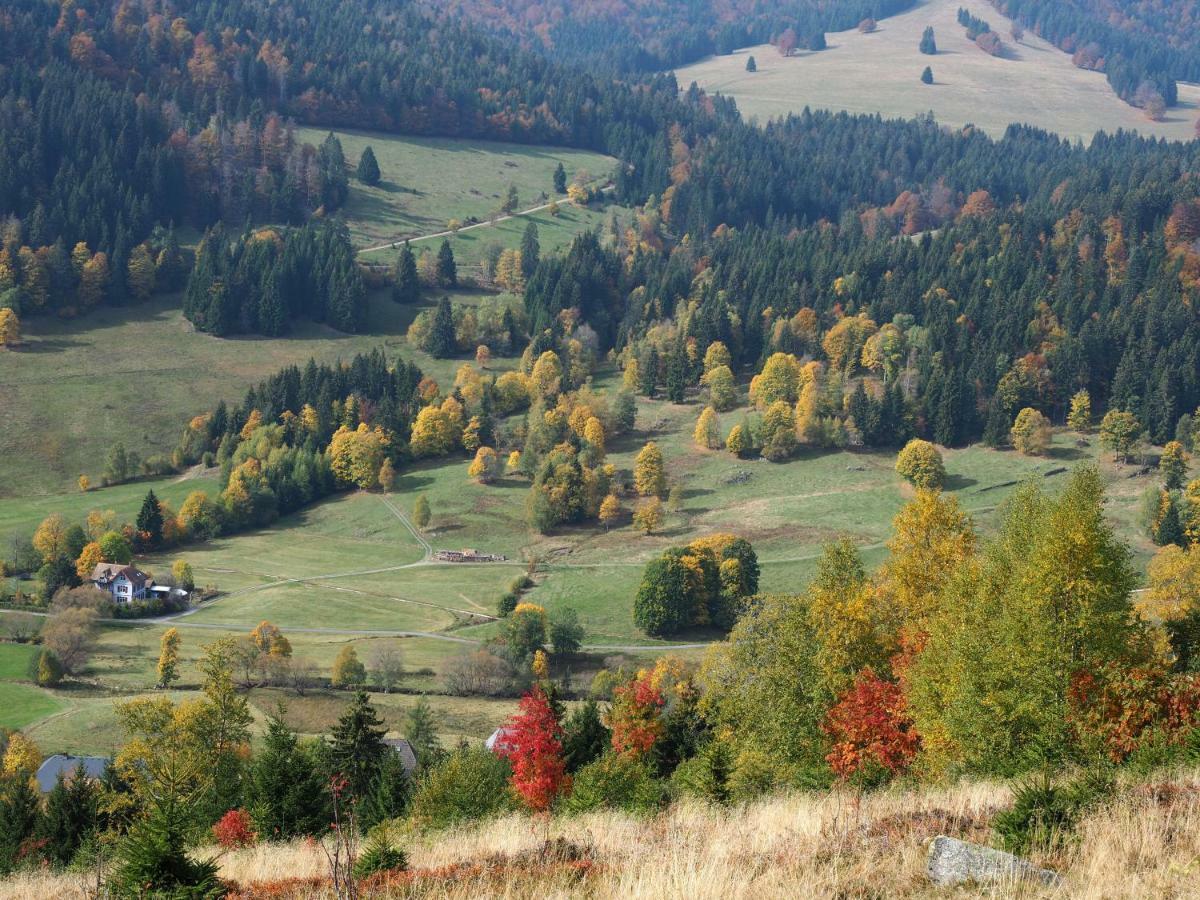 C3 Albmatte-Fewo Sauna, Hallenbad Aussenbecken Massagen Nebenan Санкт Блазиен Екстериор снимка