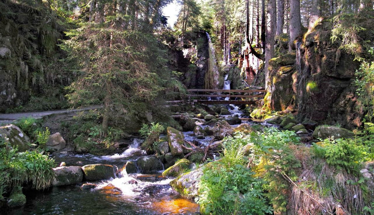 C3 Albmatte-Fewo Sauna, Hallenbad Aussenbecken Massagen Nebenan Санкт Блазиен Екстериор снимка