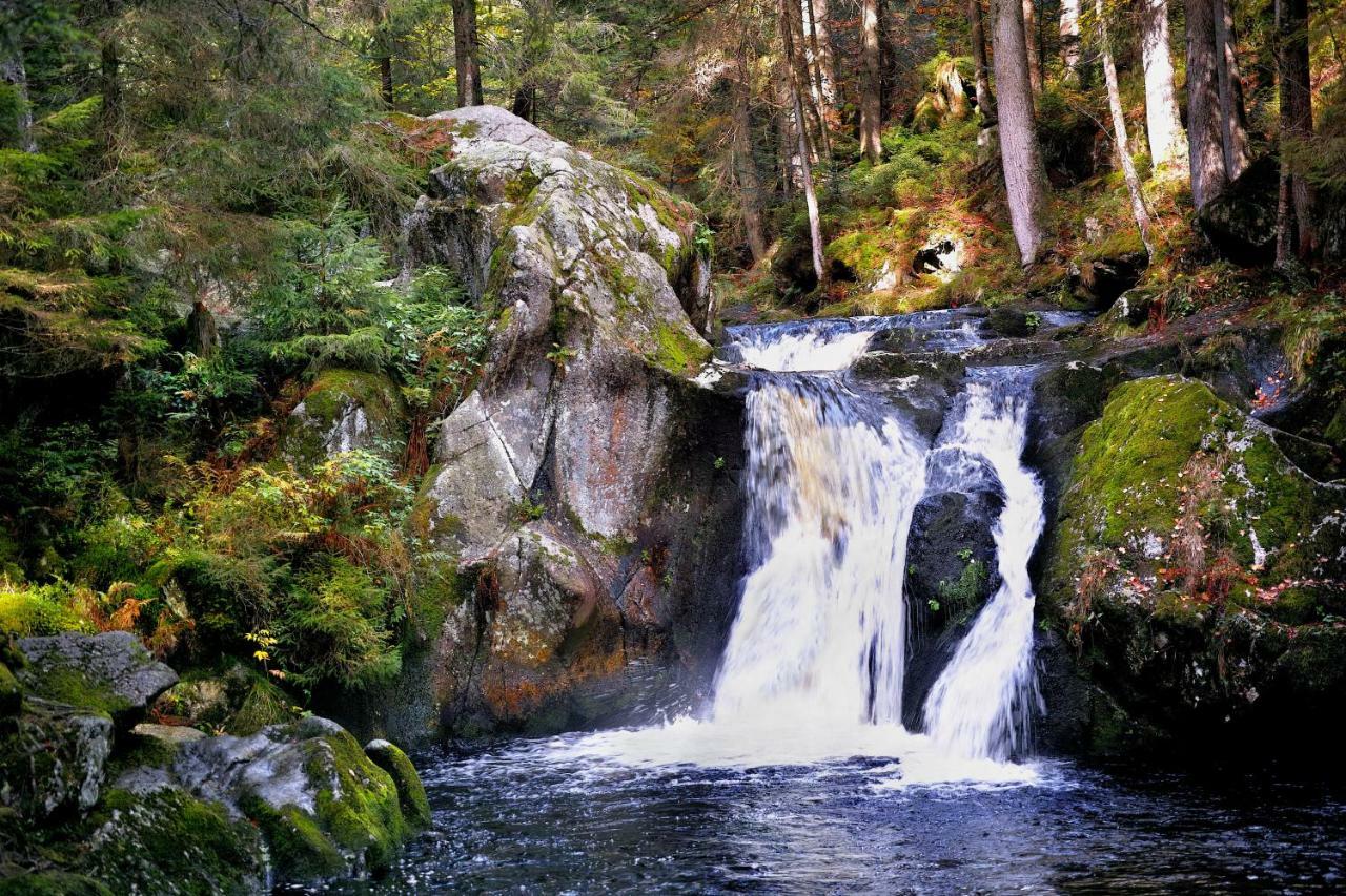 C3 Albmatte-Fewo Sauna, Hallenbad Aussenbecken Massagen Nebenan Санкт Блазиен Екстериор снимка