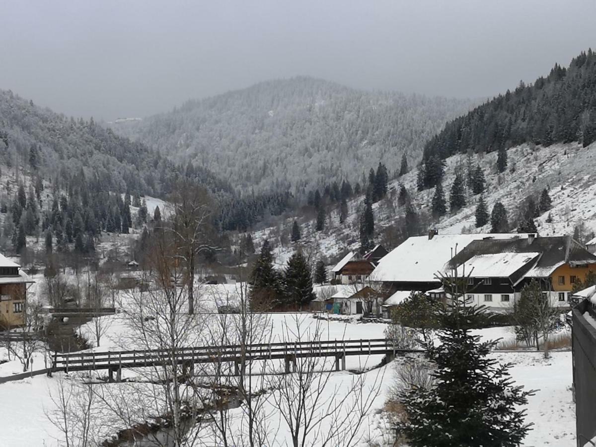 C3 Albmatte-Fewo Sauna, Hallenbad Aussenbecken Massagen Nebenan Санкт Блазиен Екстериор снимка