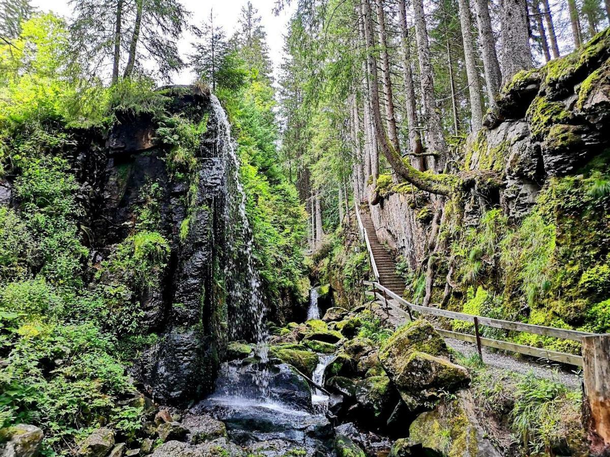 C3 Albmatte-Fewo Sauna, Hallenbad Aussenbecken Massagen Nebenan Санкт Блазиен Екстериор снимка