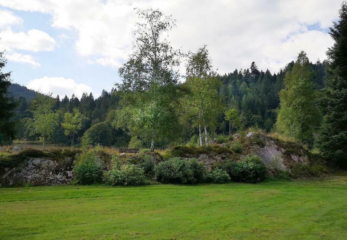 C3 Albmatte-Fewo Sauna, Hallenbad Aussenbecken Massagen Nebenan Санкт Блазиен Екстериор снимка
